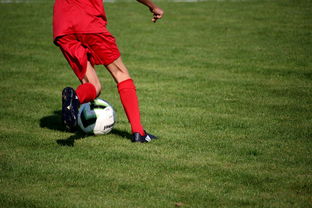 爱游戏官网app-中国篮球教练员培训体系现代化改革,中国篮球协会篮球教练员等级